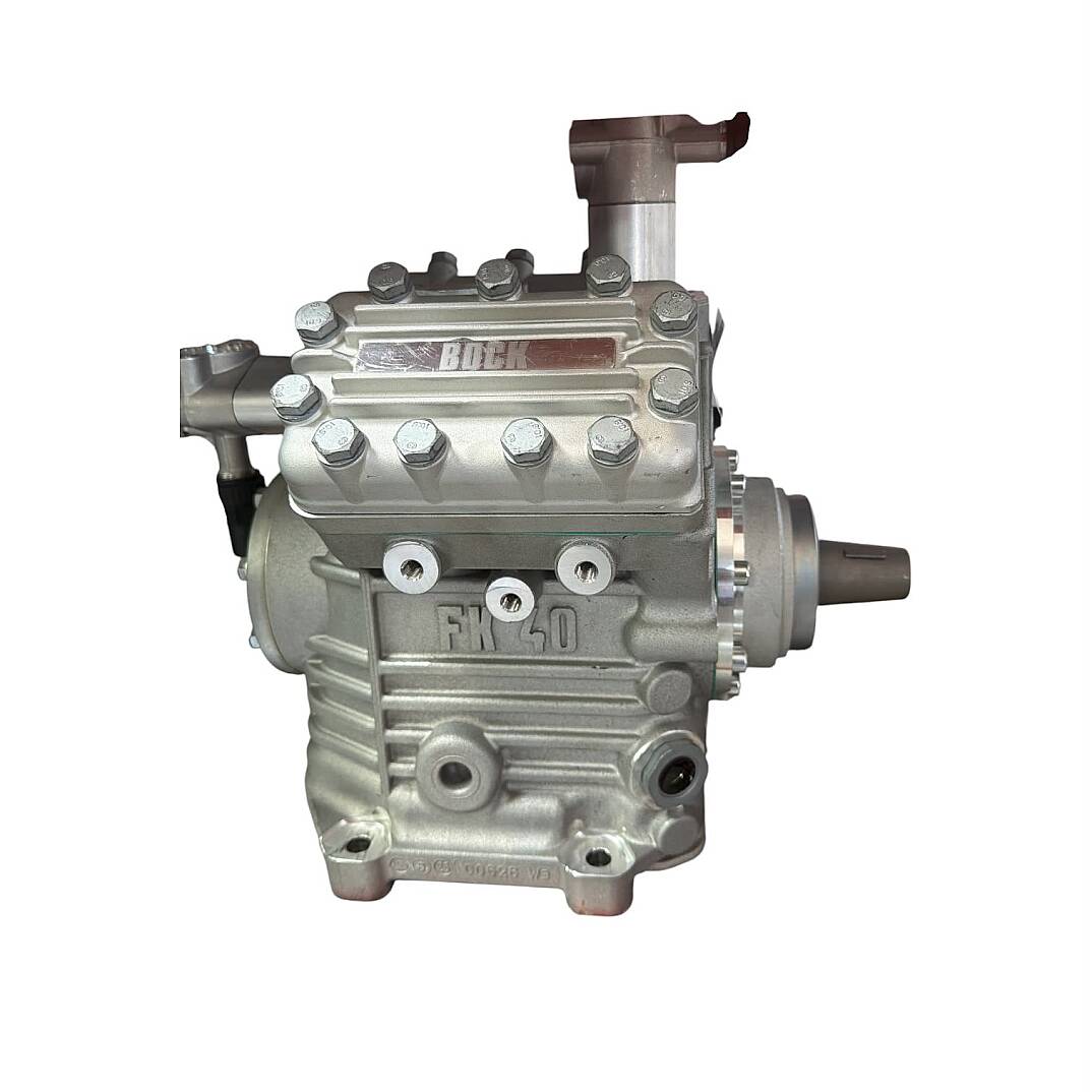 Compresor Clima E6 Fk40 ISIN85 - 2