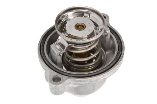 Termostat 80g 6012030075 - 2