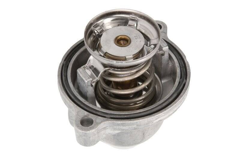 Termostat 80g 6012030075 - 2